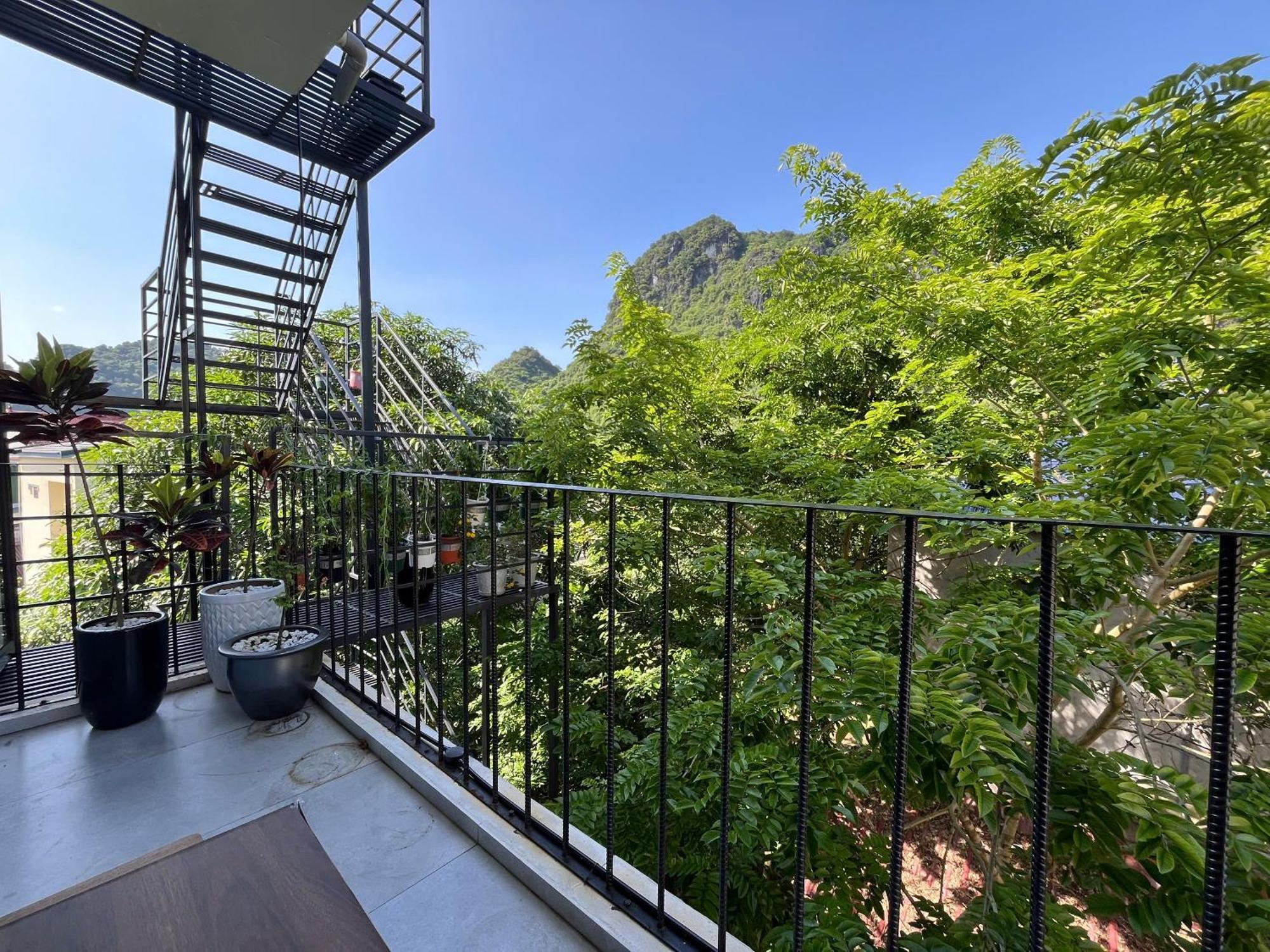 Celia Boutique Hotel Phong Nha Buitenkant foto